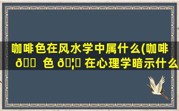咖啡色在风水学中属什么(咖啡 🐠 色 🦋 在心理学暗示什么)